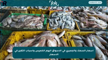 أسعار السمك والجمبري في الأسواق اليوم الخميس وأسباب التغير في الأسعار